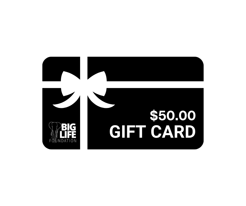 E-Store Gift Card