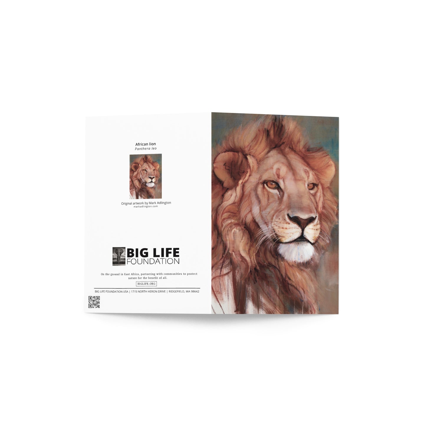 Mark Adlington Greeting card - African Lion